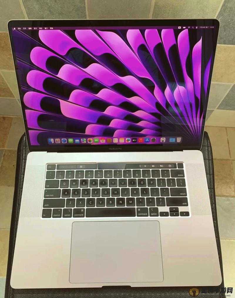 16 岁少年用 MacBook Pro 日本制作影片