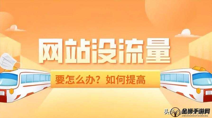 SEO 短视频网页入口网站推广：快速提升网站流量