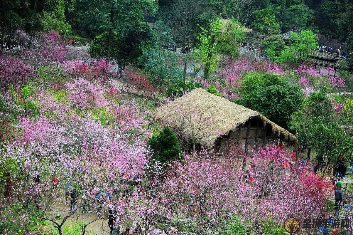 桃花洞口现状实地探访