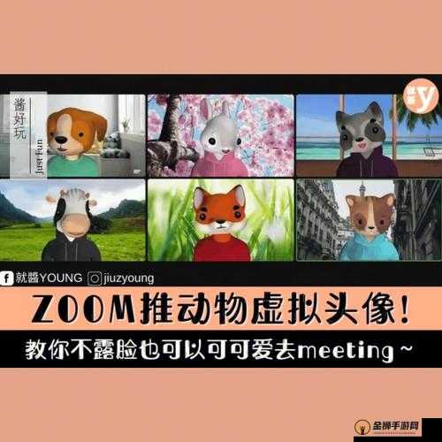 美国ZOOM 动物-欢迎您-快来体验