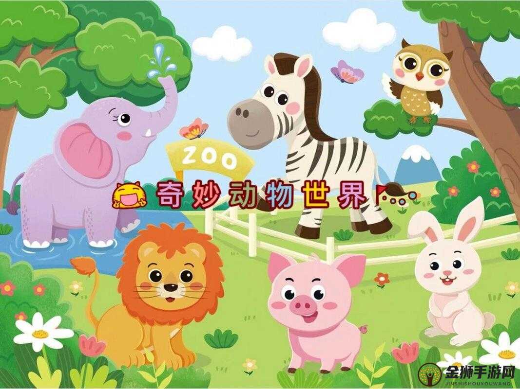 ZOOM 动物高清：探寻奇妙动物世界