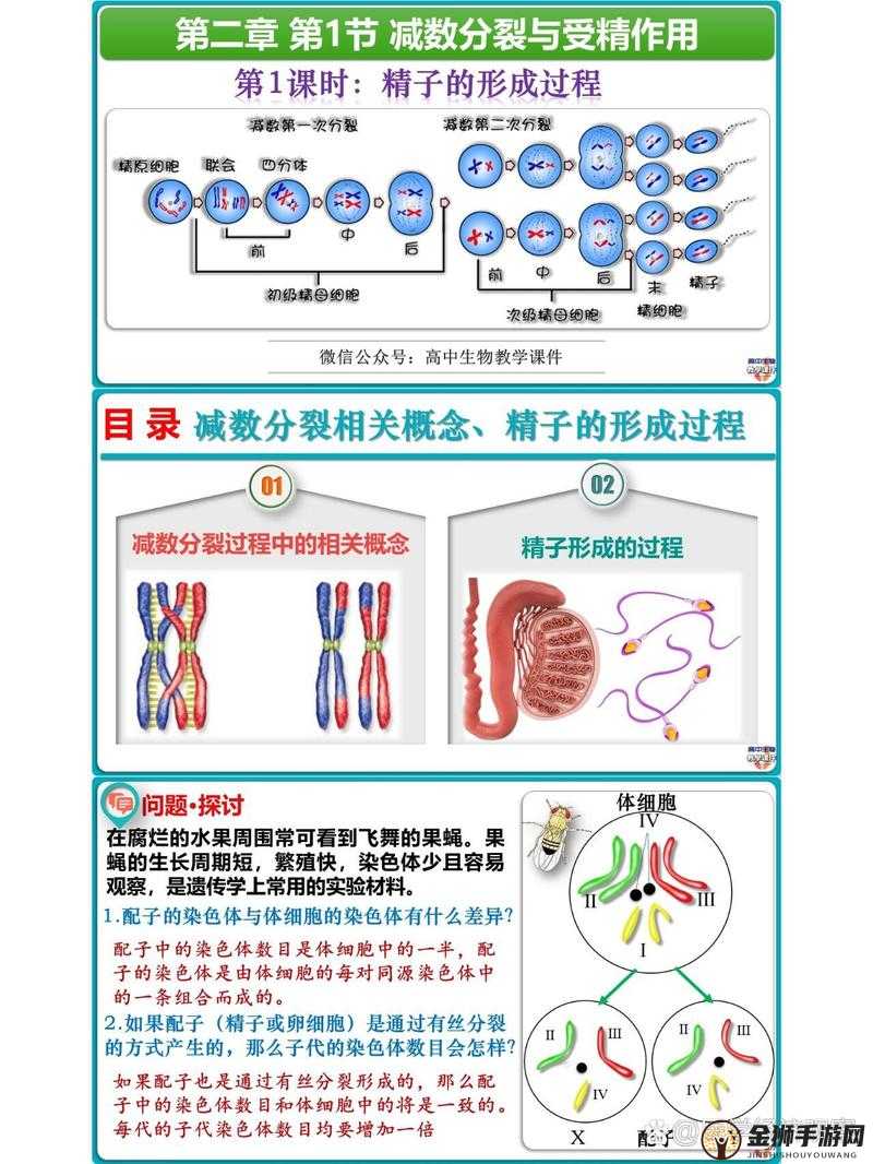 系统需收集大量精子以升级